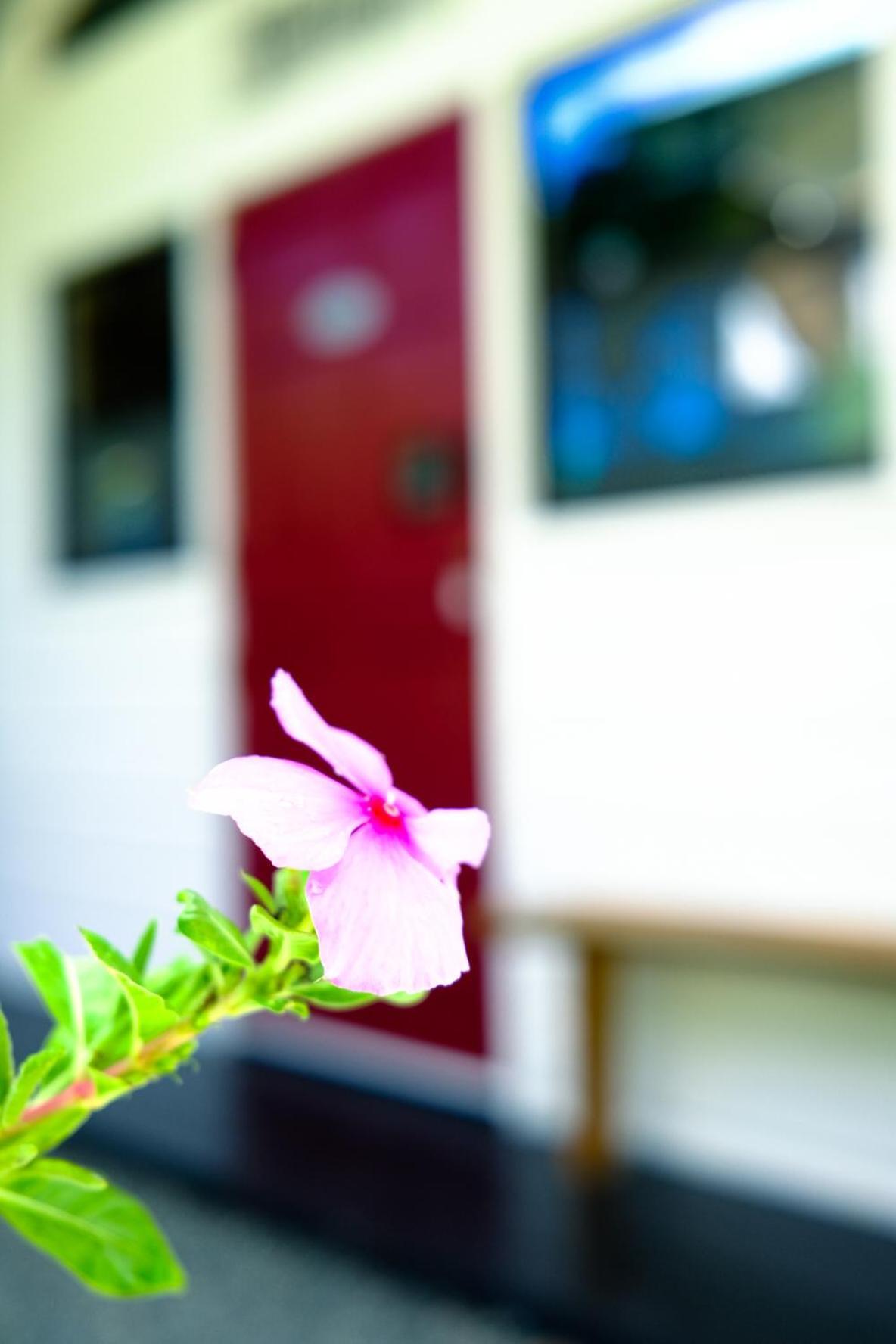 Silk Cotton Cottages Parrot Hall 外观 照片